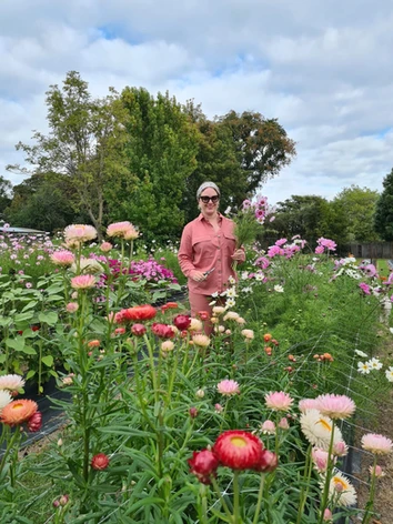 Picking at Moon River Flower Farm